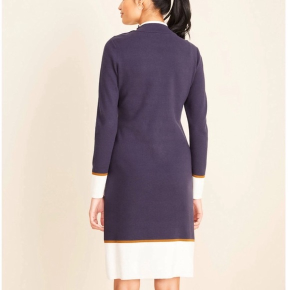 Ann Taylor Colorblock Sweater Dress - Picture 4 of 7